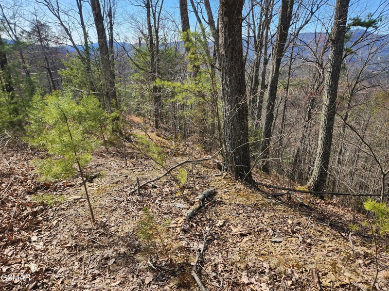 46 Feld Wynde Close Way Lot 46, Sevierville, TN 37862