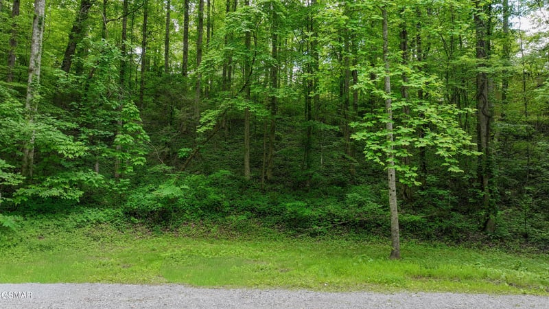 6 Covemont Ln Lot 6, Sevierville, TN 37862