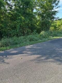 50 Mary Alice Way Lot 50, Sevierville, TN 37876