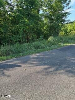 50 Mary Alice Way Lot 50, Sevierville, TN 37876