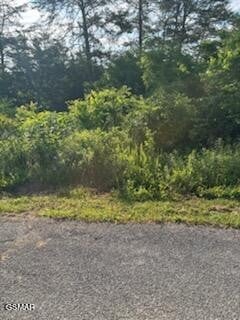 51 Mary Alice Way Lot 55, Sevierville, TN 37876