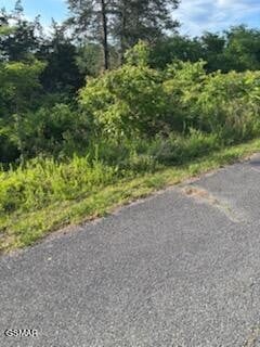 51 Mary Alice Way Lot 55, Sevierville, TN 37876