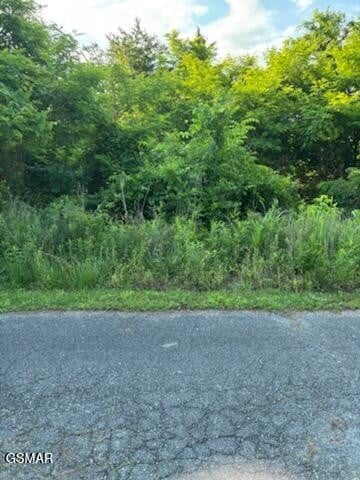 52 Mary Alice Way Lot 52, Sevierville, TN 37876