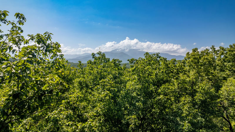 11 Spring Hill Dr Lot 11, Sevierville, TN 37876