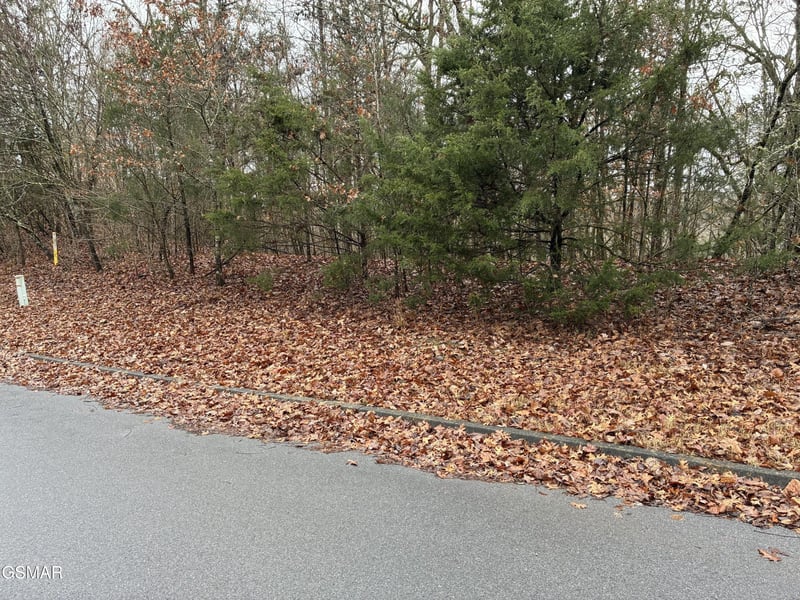 0 Longspur Trl Lot 24, Sevierville, TN 37876