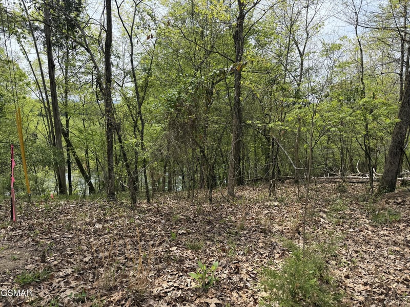 6 John Spears Way Lot 6, Sevierville, TN 37876