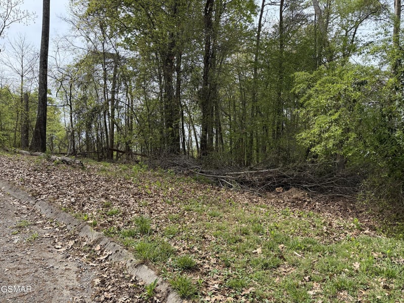 6 John Spears Way Lot 6, Sevierville, TN 37876