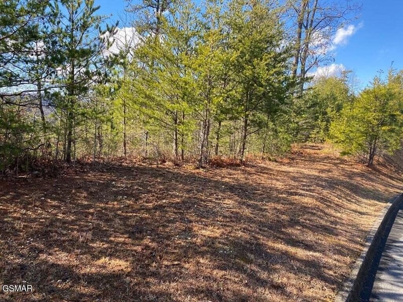 1824 Pinestand Ridge Way Lot 4, Sevierville, TN 37862