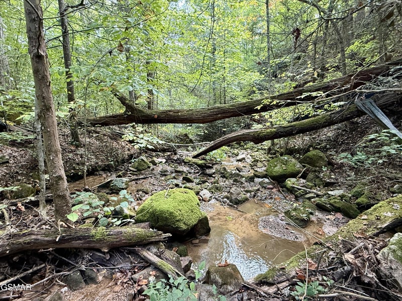 154 Summit Trails Dr Lot 154, Sevierville, TN 37862