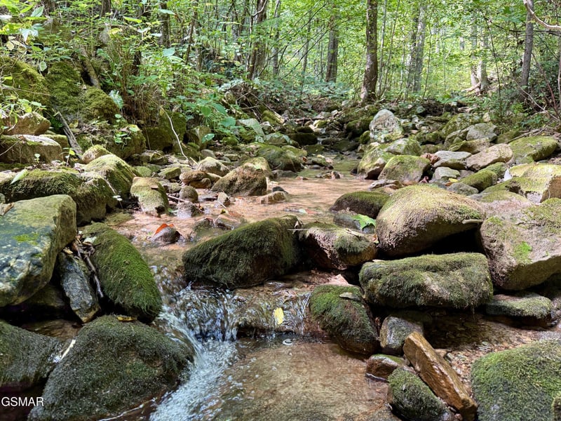 154 Summit Trails Dr Lot 154, Sevierville, TN 37862