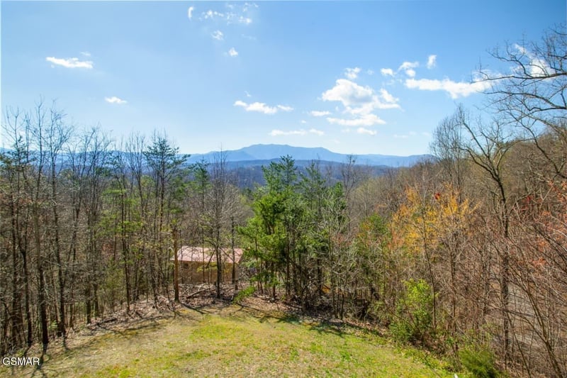 1625 Bear Claw Way, Sevierville, TN 37862