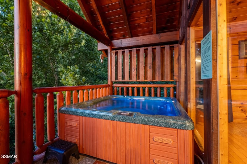 830 Black Bear Cub Way, Sevierville, TN 37862