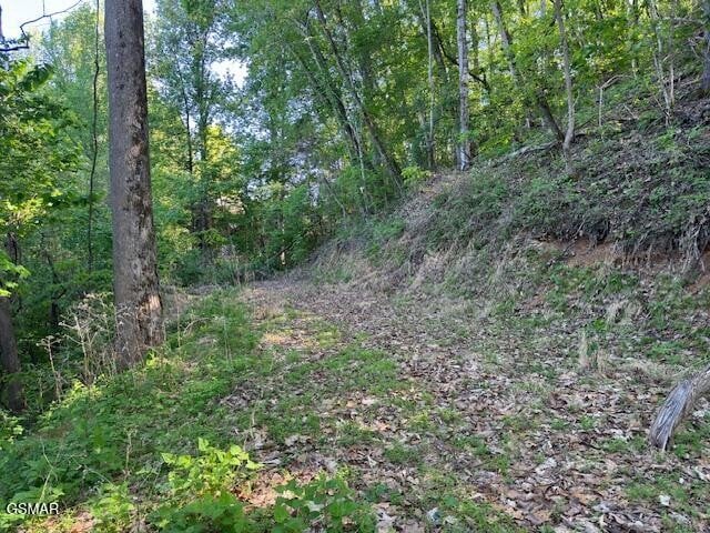 13 Dove View Rd Lot 13, Sevierville, TN 37862