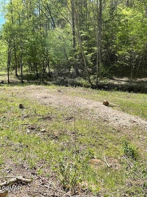 0 Jason Pl Jones Cove Rd Off Lot 61, Sevierville, TN 37876