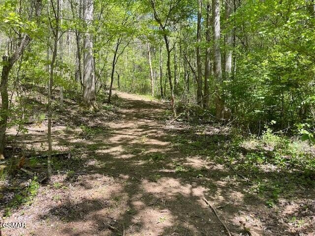 0 Jason Pl Jones Cove Rd Off Lot 61, Sevierville, TN 37876