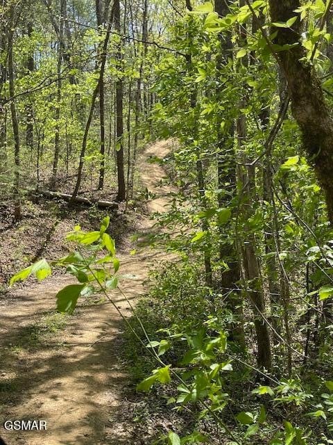 0 Jason Pl Jones Cove Rd Off Lot 61, Sevierville, TN 37876