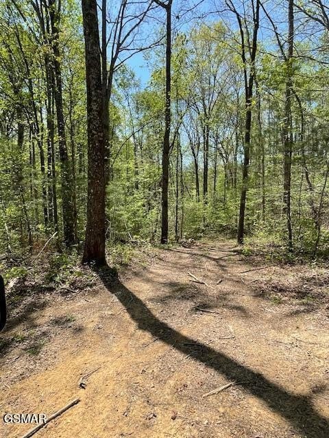 0 Jason Pl Jones Cove Rd Off Lot 61, Sevierville, TN 37876