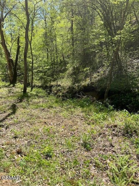 0 Jason Pl Jones Cove Rd Off Lot 61, Sevierville, TN 37876