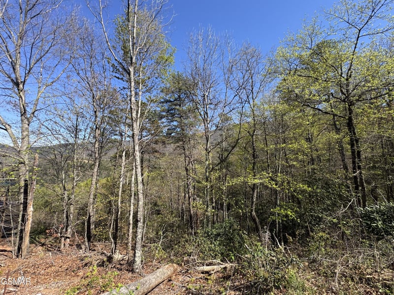 11 Perry Cir Ln Lot 11, Sevierville, TN 37862