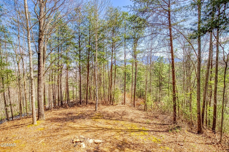 2752 Blue Springs Way, Sevierville, TN 37862