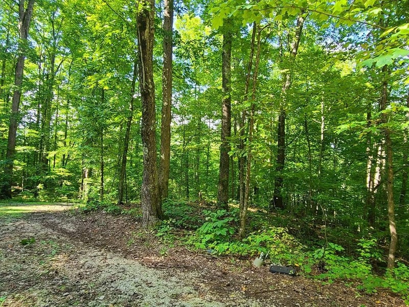 9 Walden Flats Way Lot 9, Sevierville, TN 37862