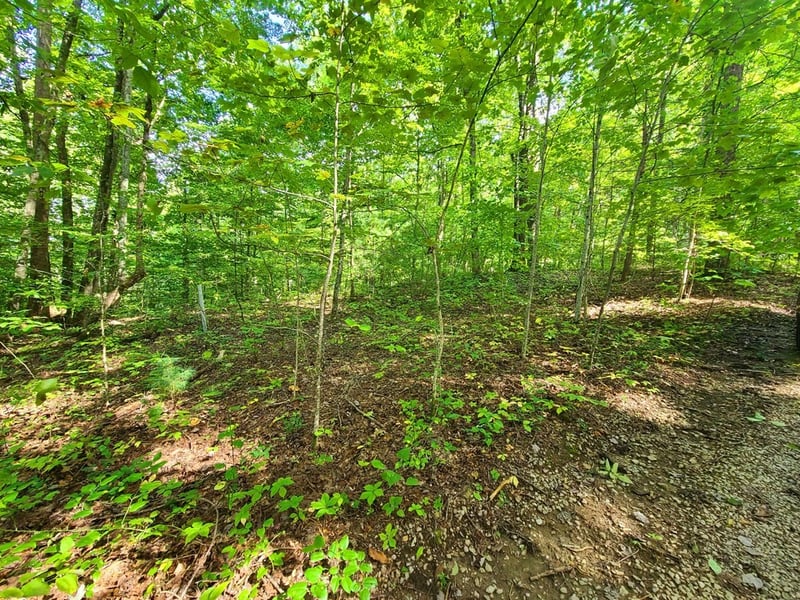 9 Walden Flats Way Lot 9, Sevierville, TN 37862