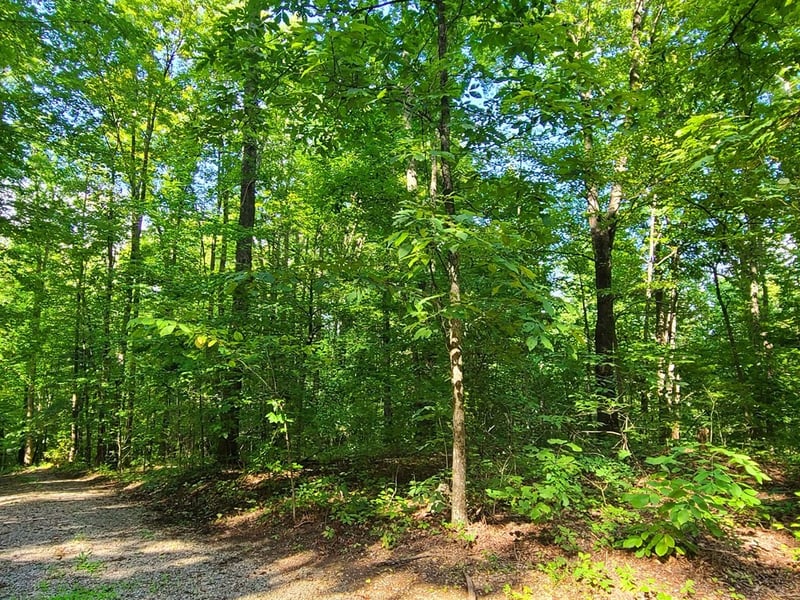 9 Walden Flats Way Lot 9, Sevierville, TN 37862