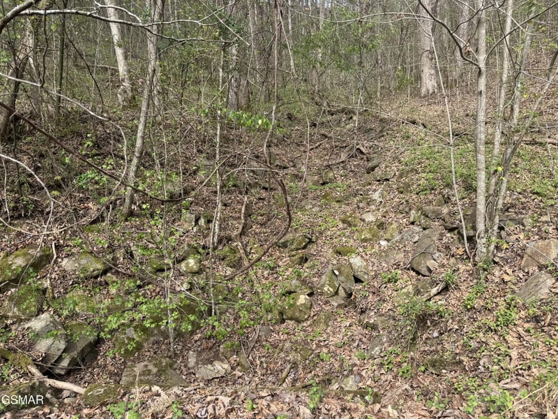 12 Whetstone Rd Lot 12, Sevierville, TN 37862