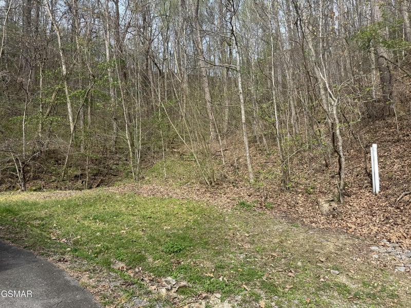 12 Whetstone Rd Lot 12, Sevierville, TN 37862
