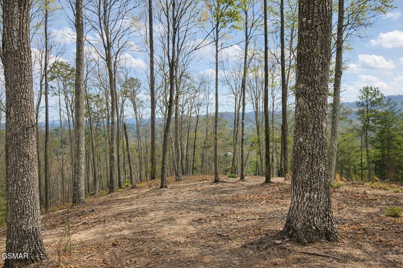 1 Sulpher Springs Way Lot 1-B, Sevierville, TN 37876