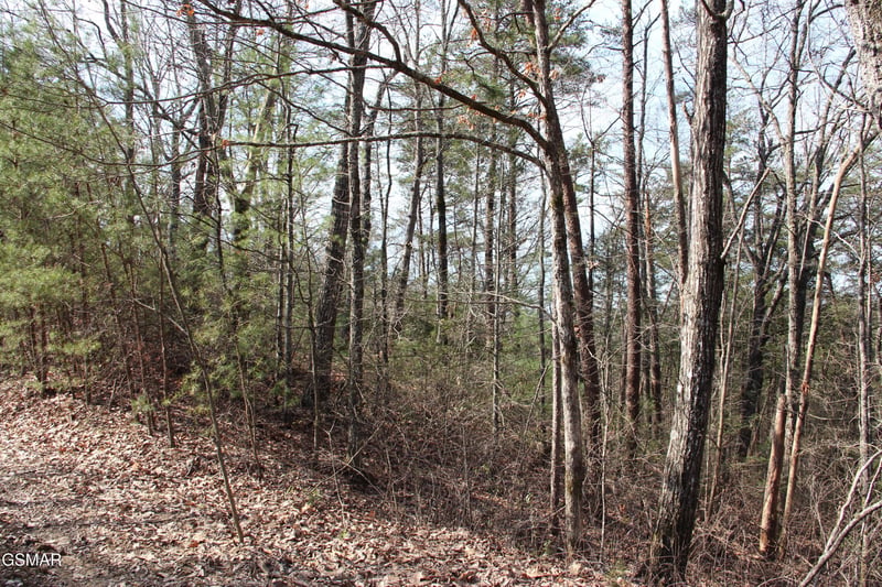 19 Ridge View Dr Lot 19, Sevierville, TN 37876