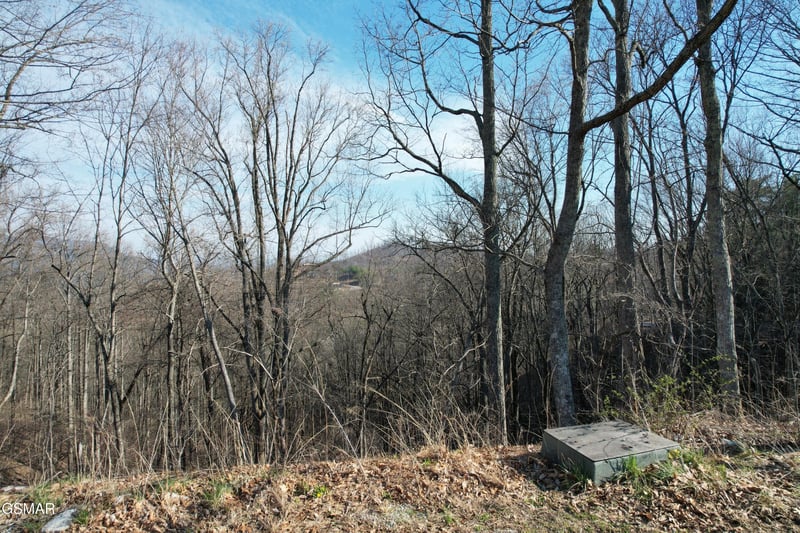 2 Spurling Way Lot 2B, Sevierville, TN 37862