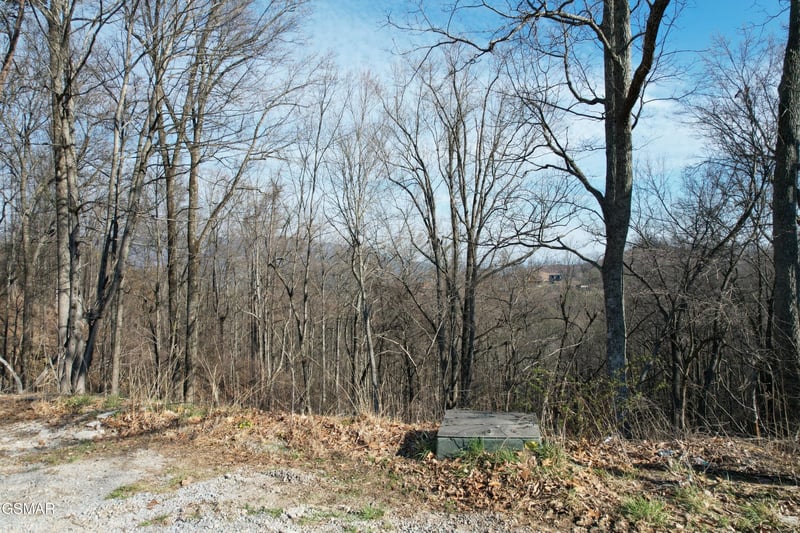 2 Spurling Way Lot 2B, Sevierville, TN 37862