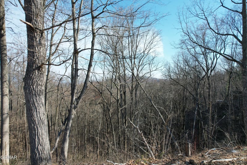 2 Spurling Way Lot 2B, Sevierville, TN 37862
