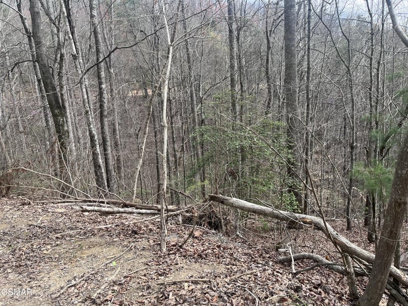 5554 71 Yellowwood Dr Lot 55&54&71, Sevierville, TN 37876