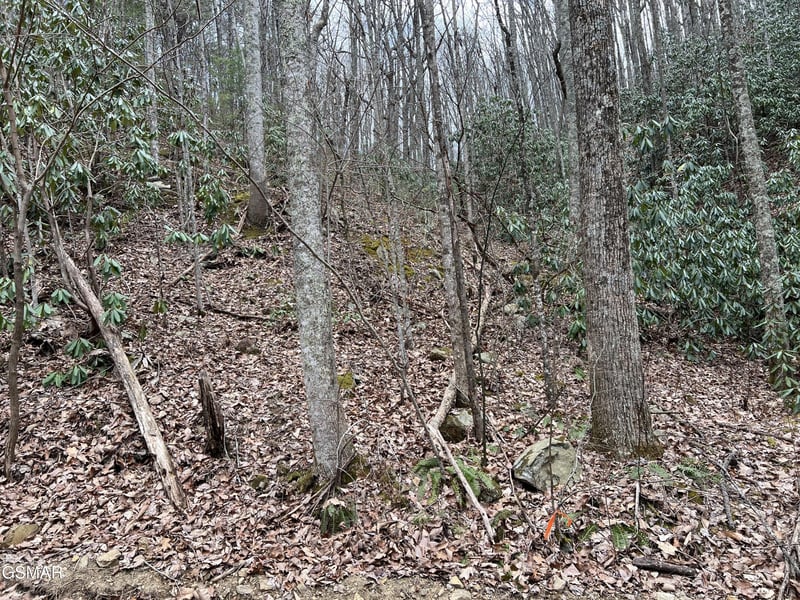 10 John Sevier Dr Lot 10, Sevierville, TN 37876