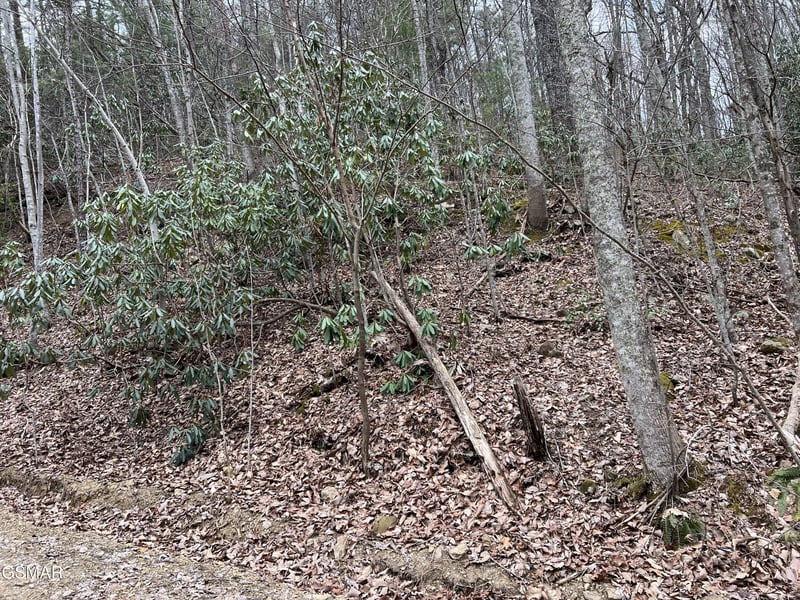 10 John Sevier Dr Lot 10, Sevierville, TN 37876