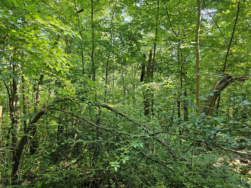 10 Kristina Way Lot 10, Sevierville, TN 37862