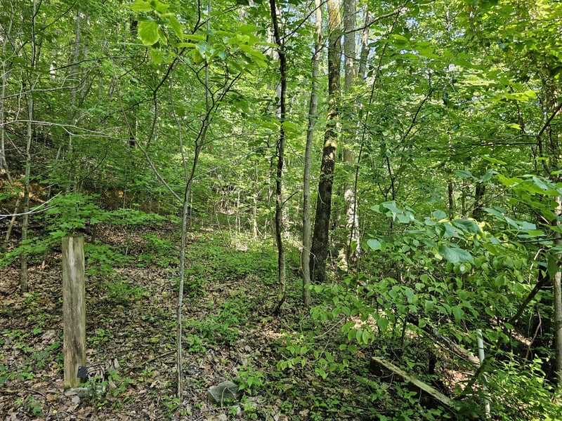 10 Kristina Way Lot 10, Sevierville, TN 37862