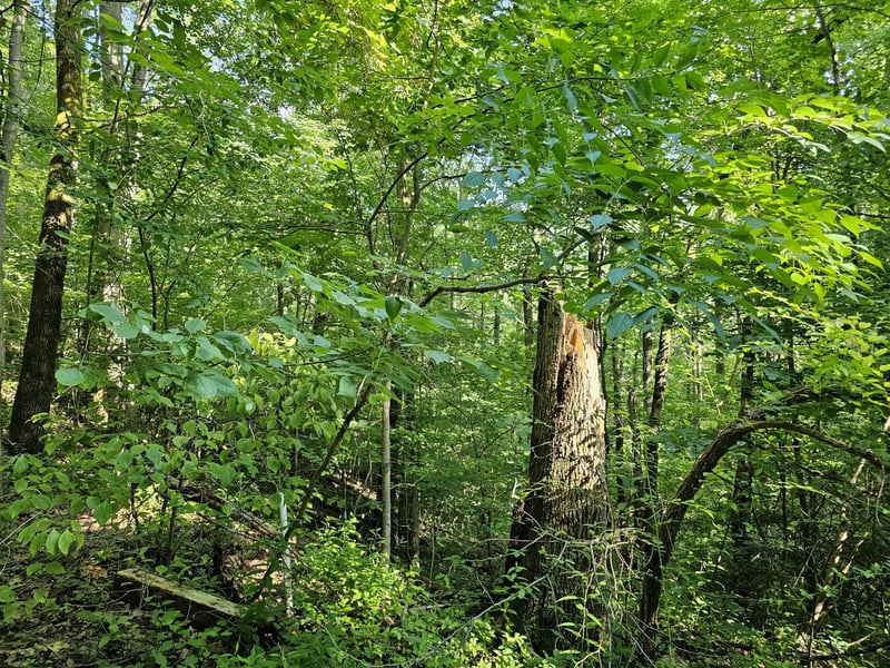10 Kristina Way Lot 10, Sevierville, TN 37862