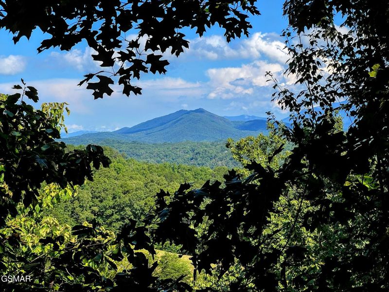 2251 Upper Middle Creek Rd #18, Sevierville, TN 37876