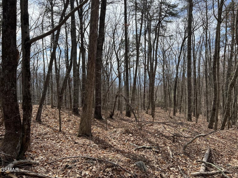 12 Swann Saddle Ln Lot 12, Sevierville, TN 37876