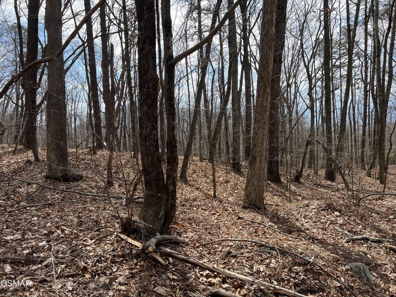 12 Swann Saddle Ln Lot 12, Sevierville, TN 37876