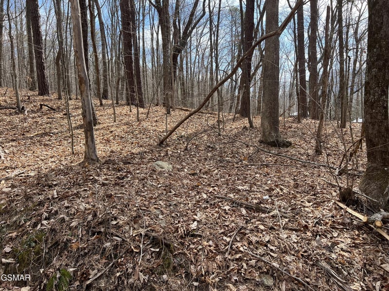 12 Swann Saddle Ln Lot 12, Sevierville, TN 37876