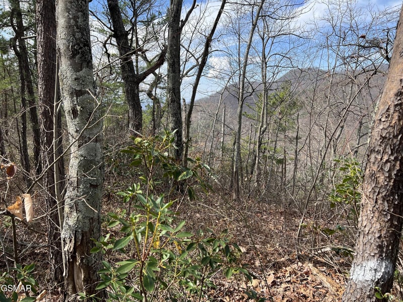 1011 Chestnut Ridge Ct Lot 10-11, Sevierville, TN 37876