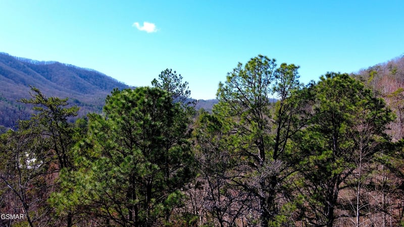 4 Walden Ridge Rd Lot 4, Sevierville, TN 37862