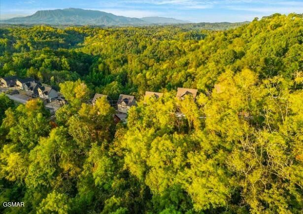 144 Eagle Feather Dr Lot 144, Sevierville, TN 37876