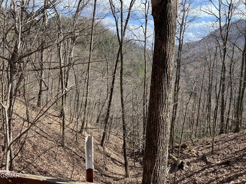 26 Aintree Dr Lot 26, Sevierville, TN 37876