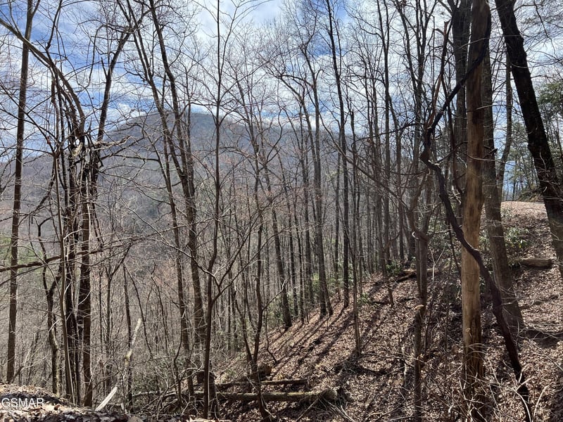 26 Aintree Dr Lot 26, Sevierville, TN 37876