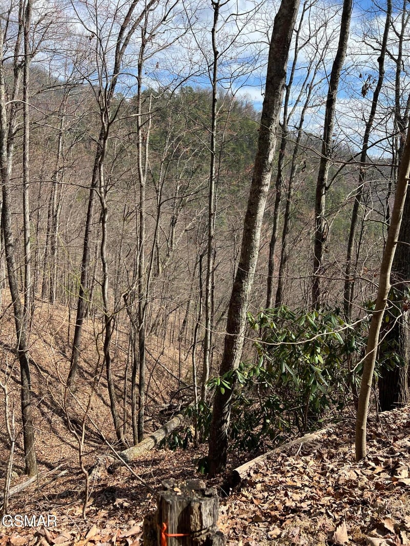 26 Aintree Dr Lot 26, Sevierville, TN 37876